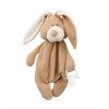 WOOLY ORGANIC COMFORTER WITH DUMMY HOLDER BUNNY
