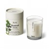 AERY LIVING FIG LEAF SCENTED CANDLE