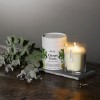 AERY LIVING FIG LEAF SCENTED CANDLE