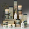 AERY LIVING WAKAME SEAWEED SCENTED CANDLE 