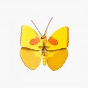 STUDIO ROOF YELLOW BUTTERFLY