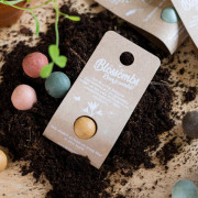 BLOSSOMBS SEED BOMB GIVEAWAY GIFT 1