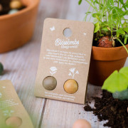 BLOSSOMBS SEED BOMB GIVEAWAY GIFT 2