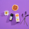 THE NATURE OF THINGS GOOD LUCK ESSENTIAL OIL BLEND