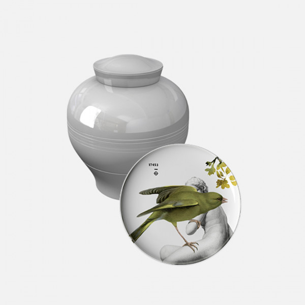 Ibride Vaso Yuan Parnasse
