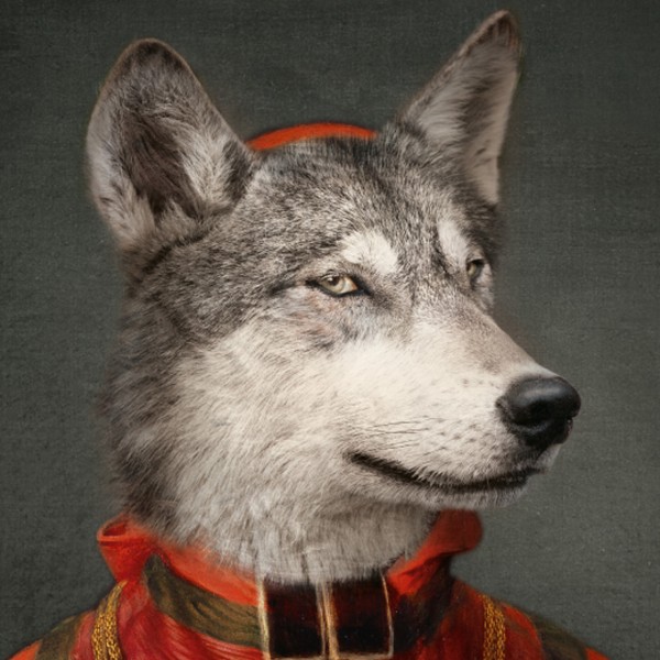Ibride Vassoio Le Loup - immagine 4