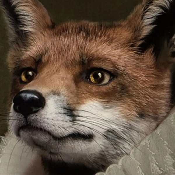 Ibride Vassoio Le Renard - immagine 2