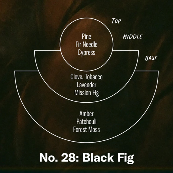 P.f. Candle Co. - Candela In Cera Di Soia Black Fig - immagine 3