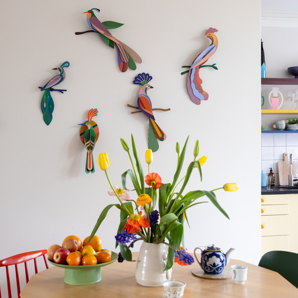 Studio Roof Paradise Bird "Tinjil" - Image 4