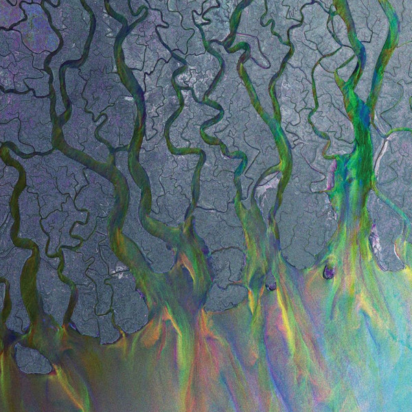 Alt-j "an Awesome Wave" Vinyl