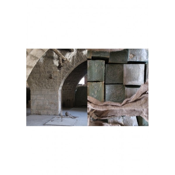 L'ippocampo Imaginarium - immagine 4