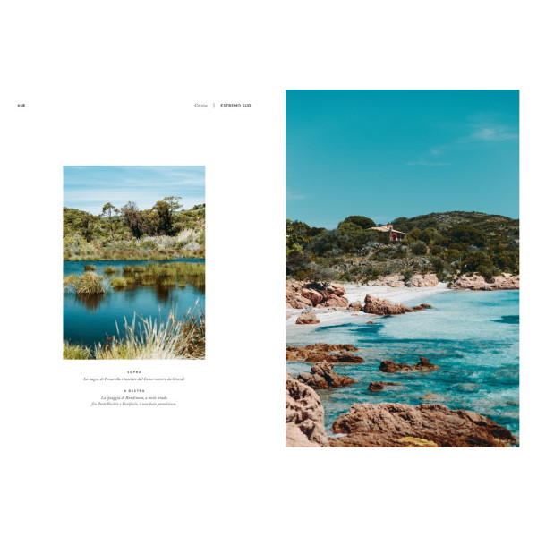 Ippocampo Piccolo Atlante Edonista Corsica - immagine 3