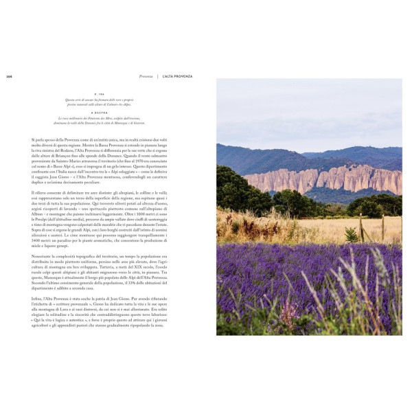 Ippocampo Little Hedonist Atlas Provence - Image 3