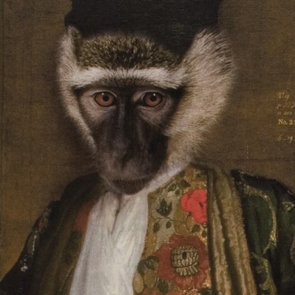 Ibride Vassoio Cornelius - immagine 3