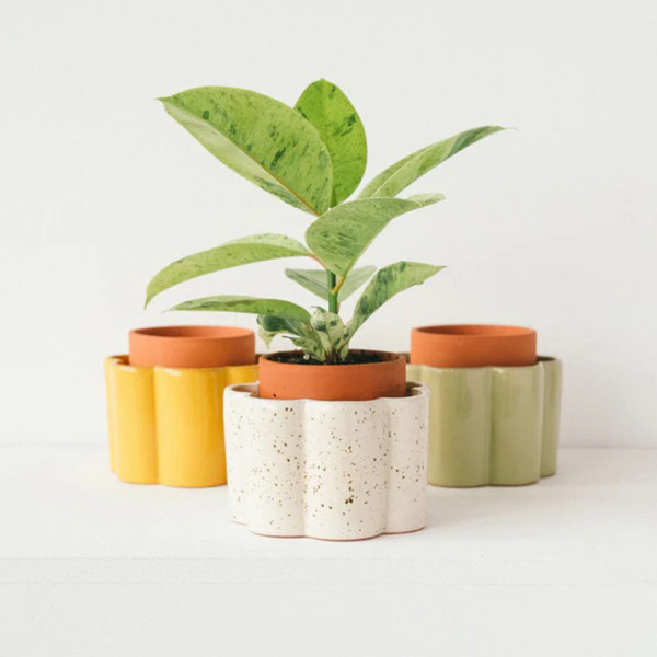 Pepin Vaso Autonomo Paula Giallo - immagine 4
