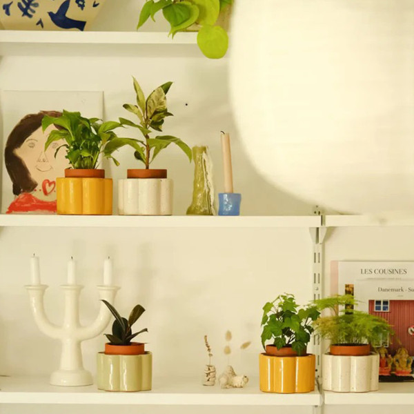Pepin Vaso Autonomo Paula Giallo - immagine 5