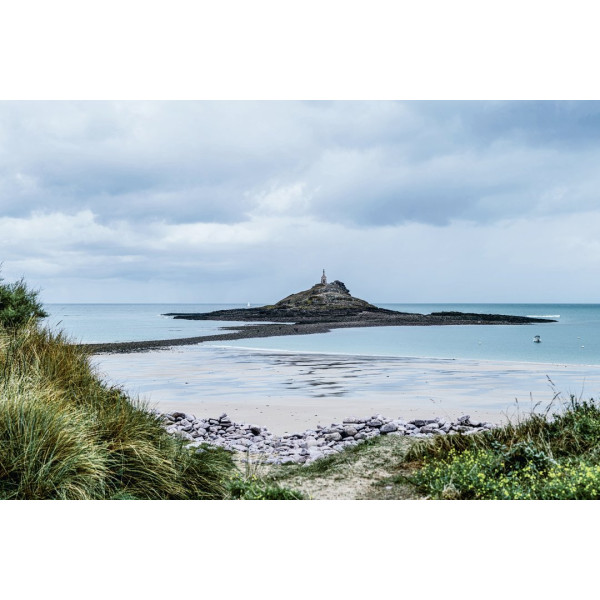 Ippocampo Little Hedonist Atlas Brittany - Image 3