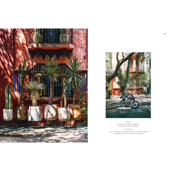 Ippocampo Little Hedonist Atlas Mexico City - Image 3