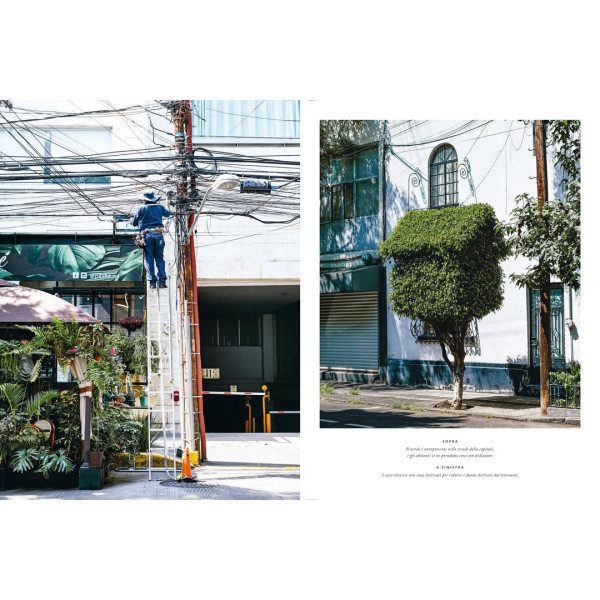 Ippocampo Little Hedonist Atlas Mexico City - Image 4