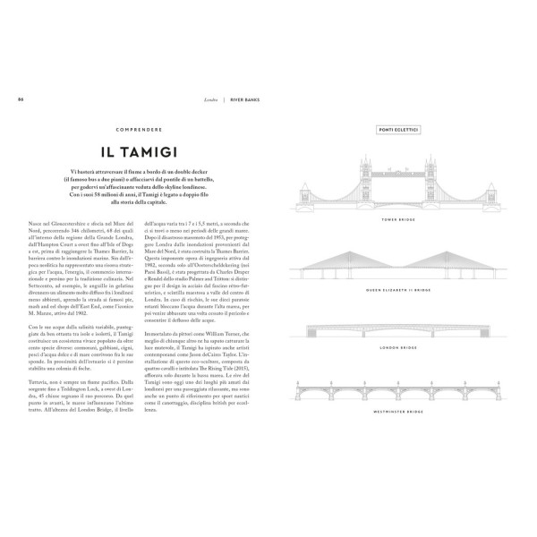 Ippocampo Piccolo Atlante Edonista Londra - immagine 2