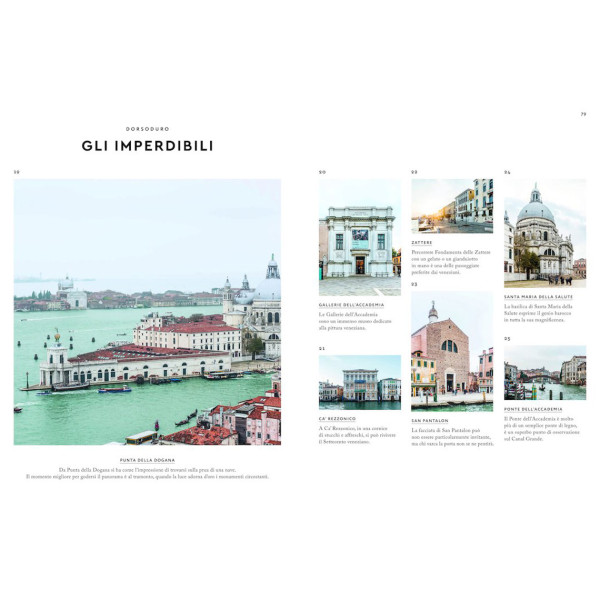 Ippocampo Piccolo Atlante Edonista Venezia - immagine 2
