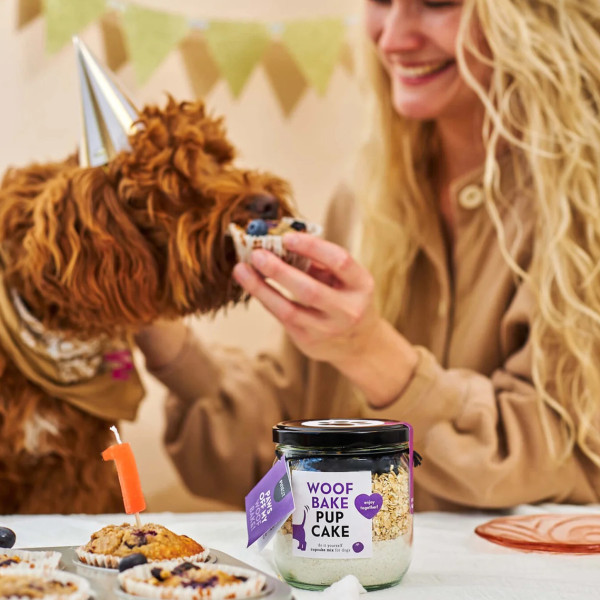 Pineut Diy Dog Biscuit Pupcake - Image 2