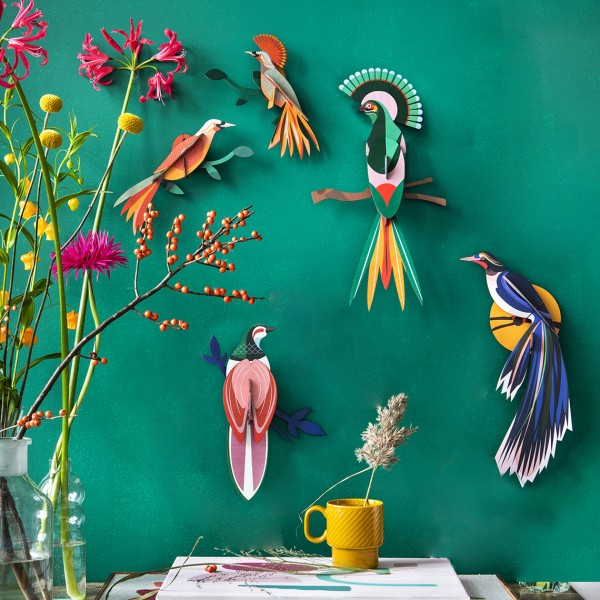 Studio Roof Wall Of Curiosities Bird Observer - Image 4