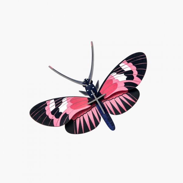 Studio Roof Farfalla Longwing
