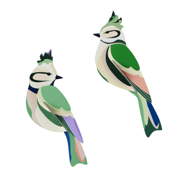 Studio Roof Garden Bird Forest Crests
