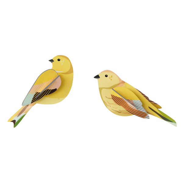 Studio Roof Garden Bird Citrinella Pair