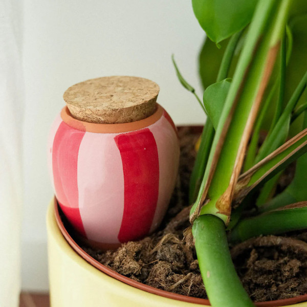 Pepin Sistema D'irrigazione Olla Righe Rosa E Rosso - immagine 2
