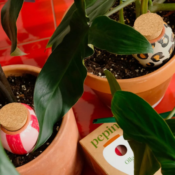 Pepin Sistema D'irrigazione Olla Righe Rosa E Rosso - immagine 3