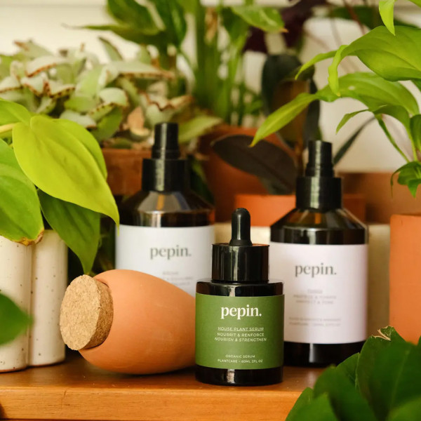 Pepin Plantcare Routine - Image 2