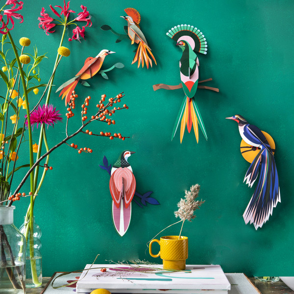 Studio Roof Paradise Bird "Flores" - Image 3