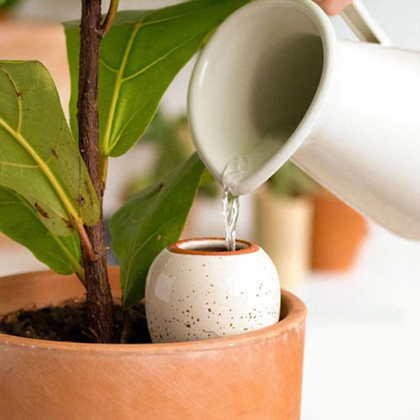Pepin Sistema D'irrigazione Olla Terracotta - immagine 5