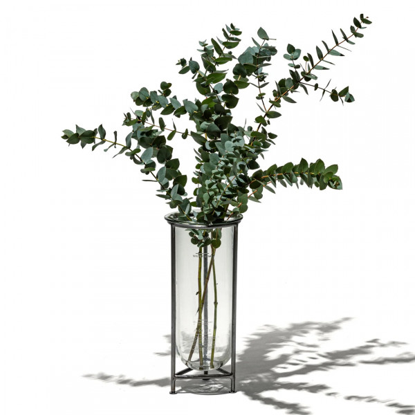 Puebco Glass Tube With Stand